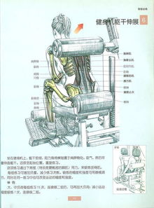  夏天就是要露背做好这些你也是背影杀手