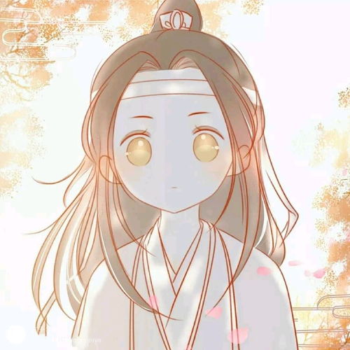  魔道祖师超可爱唯美忘羡情头