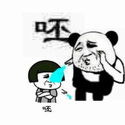 熊猫头像特效表情包
