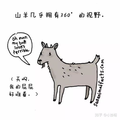  知道这些动物冷知识,我就是人群中最博学的