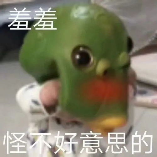  表情包众爱卿为何一言不发