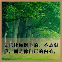  当你觉得累了,请看这8张图,特别是最后一张