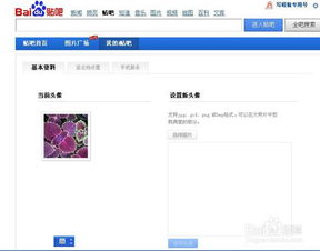  怎样更换贴吧头像
