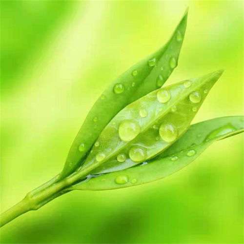  在爱的回归线陈孟善高音质在线试听在爱的回归线歌词歌曲下载酷狗音乐