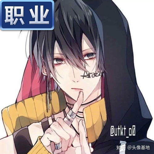  王者荣耀新款职业头像