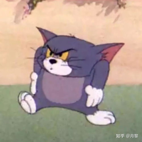  有哪些看起来逗比搞笑的头像