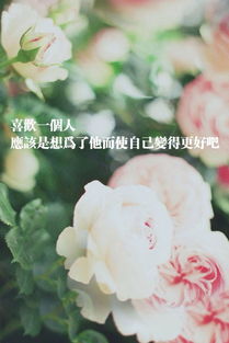  相当毛躁