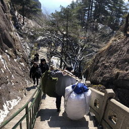  冬季黄山