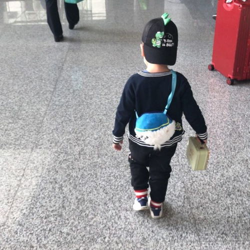 孙侨潞亲姐绿魔仙被质疑蹭妹妹热度此号停更,头像背景图有深意