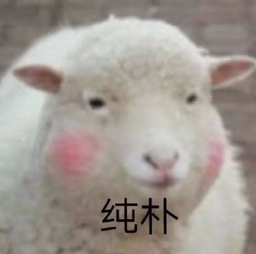  把男朋友当做儿子一样去关心,有什么不对劲吗这不是很体贴吗