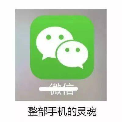  赚它一个亿,洪荒之力,真快乐...这些大火的网络梗,你能读懂几个