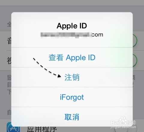  苹果6appstore账号更改,苹果6怎么更改appleid