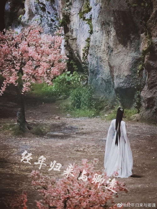  原来这就是超越性别的美