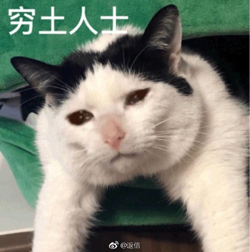  好了好了看还不行嘛u