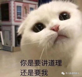  如懿传皇帝只能让霍建华来演所有女人都会原谅他只因这一点