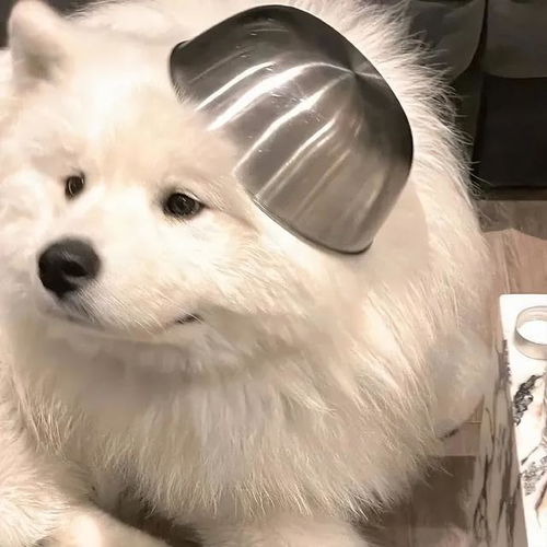  适合女生长期不换的微信头像