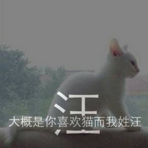  我姓汪的专属图片