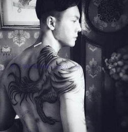  张启山结局为什么灭老九门喜欢尹新月两人孩子死