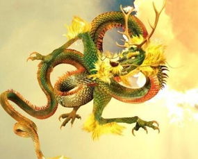 九五之尊微信头像龙人