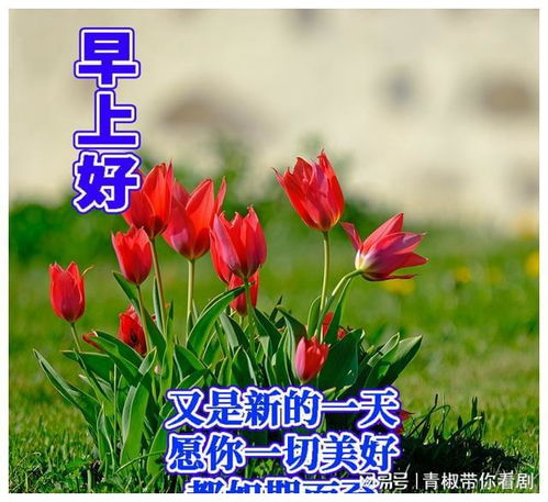  守住自己那颗宁静的心,安之若素