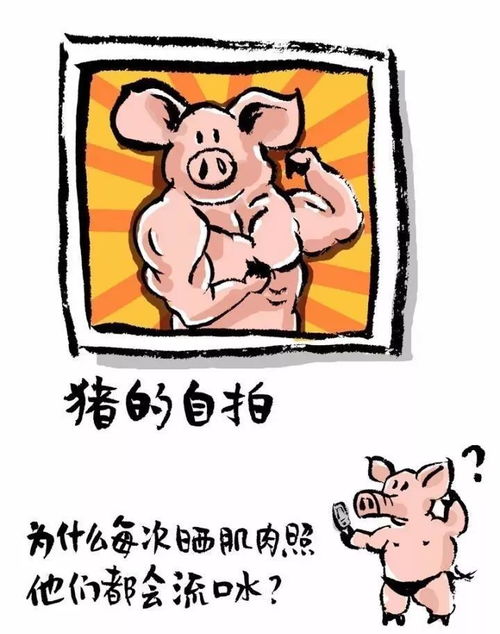  当动物们开始玩自拍,画风不忍直视