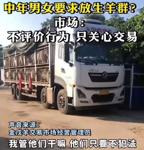  多人花百万买食用羊放生,无威胁纯正常交易行为,官方多部门回应