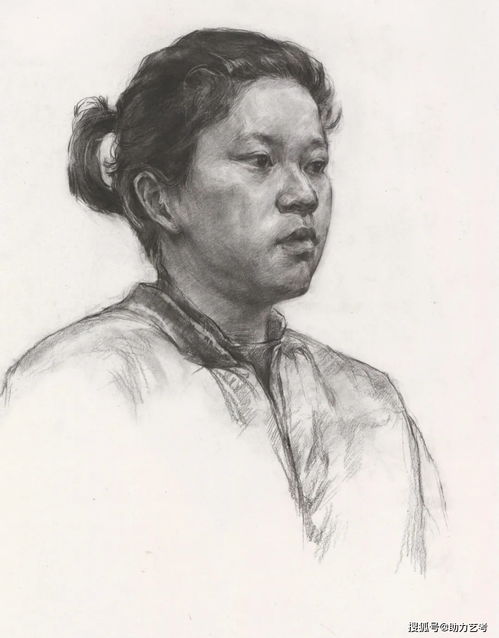  国美素描头像高分卷,你的临摹好帮手