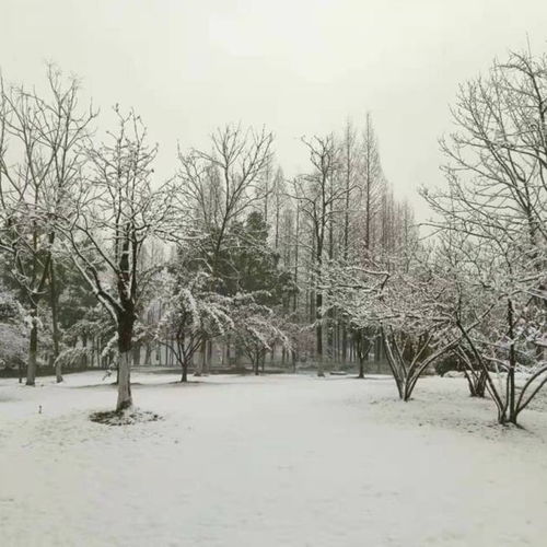  错过这一波,估计要等明年了,杭州湘湖雪景大片,来了