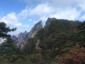  黄山风景区门票成人票911月旺季票黄山就一个字,美,难怪都说黄山归来驴妈妈点评