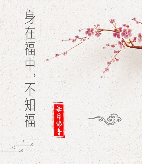 代表信佛的微信头像佛说