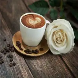  米索西咖啡加盟店