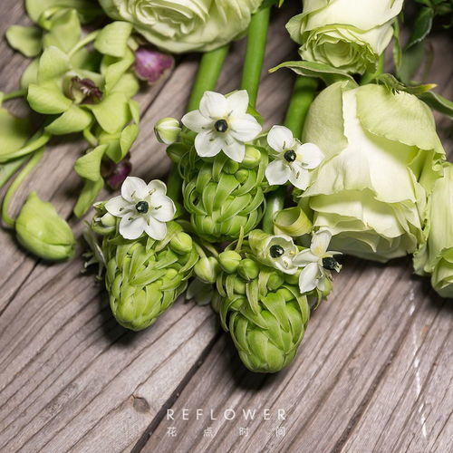  都是一种花,为何我不能有姓名