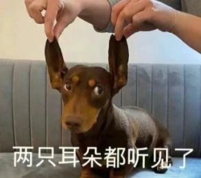 抖音酸q是什么梗