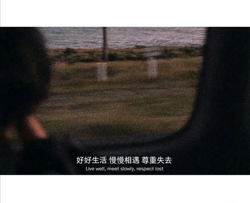  好看的朋友圈背景文案