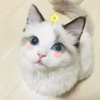  最好玩的微信头像微信头像图片大全