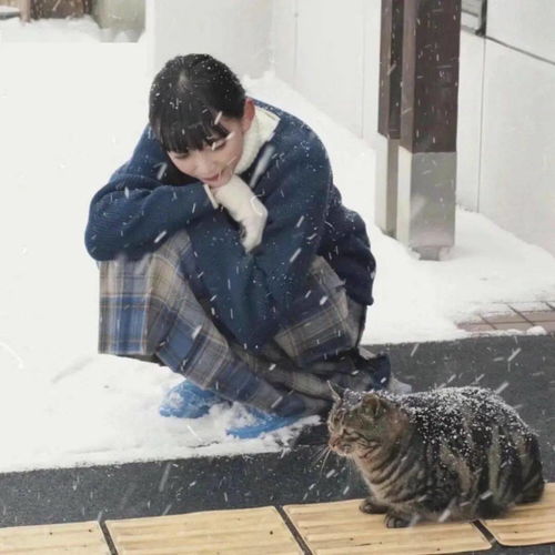  百看不厌的微信头像