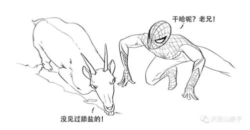  动物界中那些两副面孔的小家伙们,你造吗