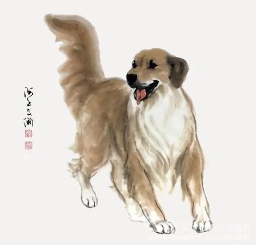  生肖狗,2024年春分3月20日4月4日综合运势分析