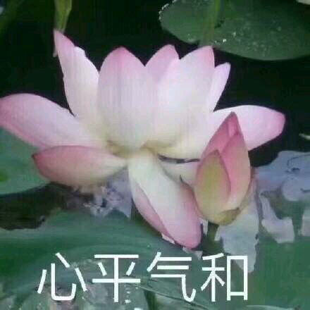  听同事说老板又买了两套房,下班回家的路上毫无预兆地哭了出来