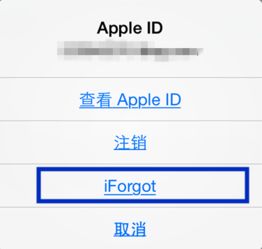  苹果手机怎么破解id密码