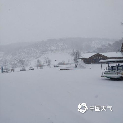  河北崇礼5月飞雪一片银装素裹