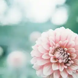 小清新图片绿色治愈系伤感唯美图片 小清新图片绿色治愈系伤感唯美图片