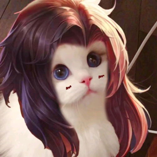  王者荣耀街头猫咪
