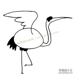  一组丹顶鹤简笔画图片