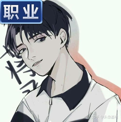 王者荣耀新款职业头像