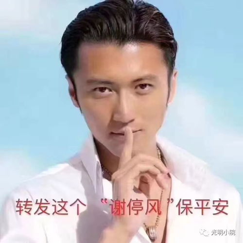  山竹过境港漂群众吃瓜看风的一天
