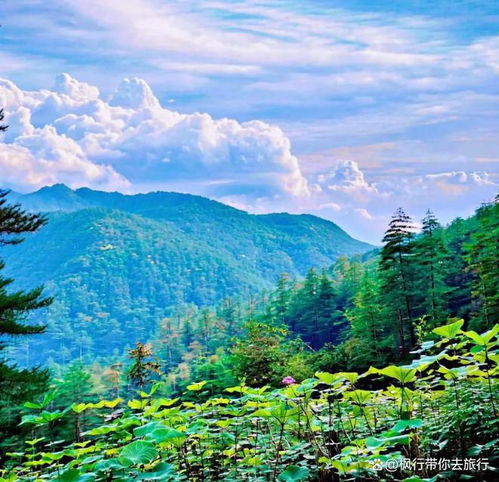  肥西县也太深藏不露了十大景点排行榜,带你感受安徽的山水之美
