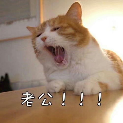 情侣头像丨晚点遇见你,余生都是你