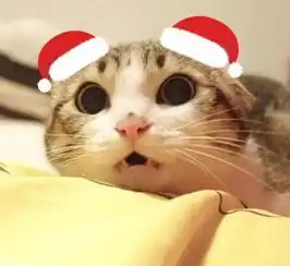  没换圣诞帽头像没吃苹果馅饺子,你还过啥平安夜圣诞节