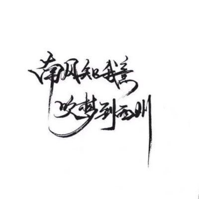  白底黑字